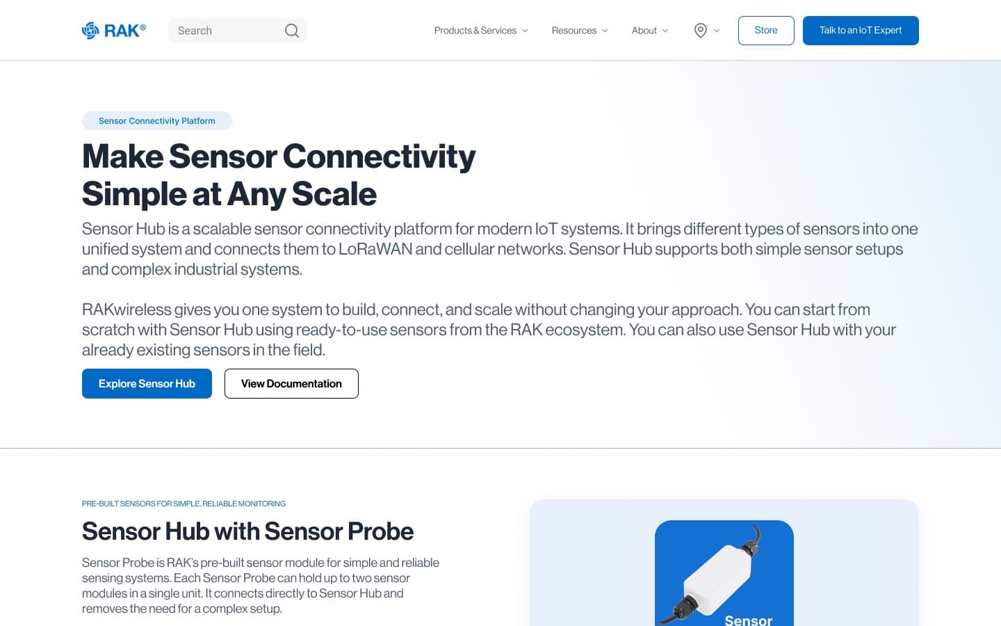 RAK — Website UI/UX & Design System, slide 3